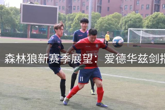 森林狼新赛季展望：爱德华兹剑指马刺雷霆