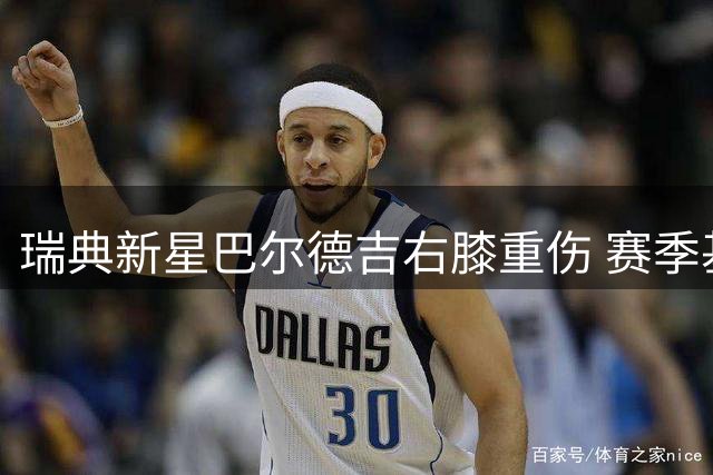 瑞典新星巴尔德吉右膝重伤 赛季基本报销
