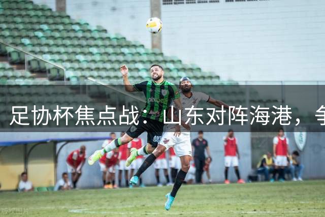 足协杯焦点战：山东对阵海港，争亚冠门票关键一役