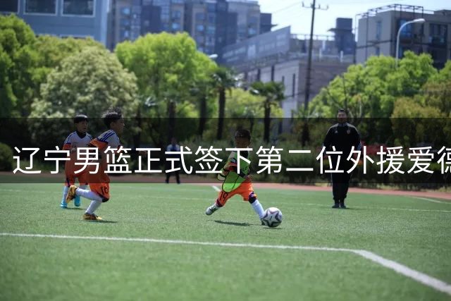 辽宁男篮正式签下第二位外援爱德华兹 新赛季搭档赵继伟出战